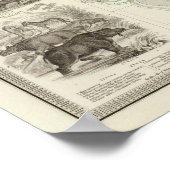 Zoologische geografie poster (Hoek)