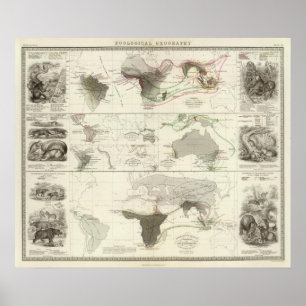 Zoologische geografie poster