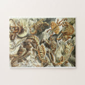 Zoologische ketch Lizards Jigzaag Puzzle Legpuzzel (Horizontaal)