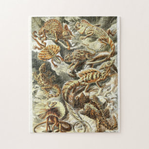 Zoologische ketch  Lizards Jigzaag Puzzle Legpuzzel