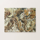 Zoologische ketch  Lizards Jigzaag Puzzle Legpuzzel (Horizontaal)