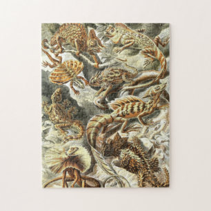 Zoologische ketch  Lizards Jigzaag Puzzle Legpuzzel