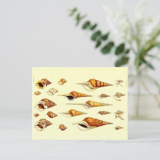 Zoologische ketting Briefkaart (Staand voorkant)