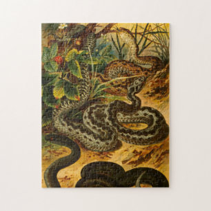 Zoölogische Schets  Snake Jigzaag Puzzle Legpuzzel