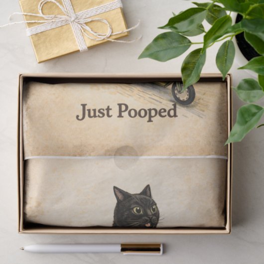 Zoomies Kitty  Tissuepapier (Geschenk)