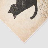 Zoomies Kitty  Tissuepapier (Detail)