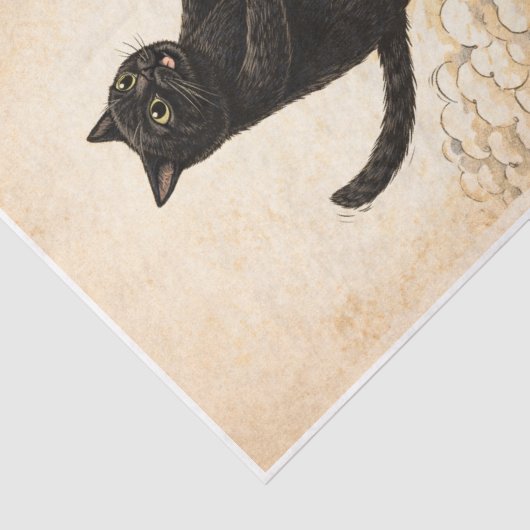 Zoomies Kitty  Tissuepapier (Detail)