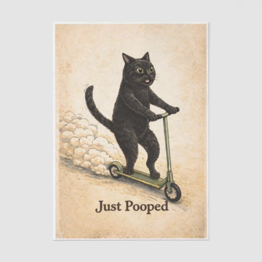 Zoomies Kitty  Tissuepapier (Voorkant)