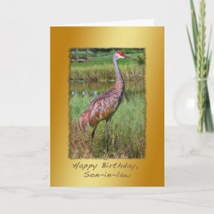 Zoon-in-law, Sandhill Crane Bird Kaart