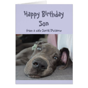 Zoon sociale vervorming Birthday Great Dane Dog