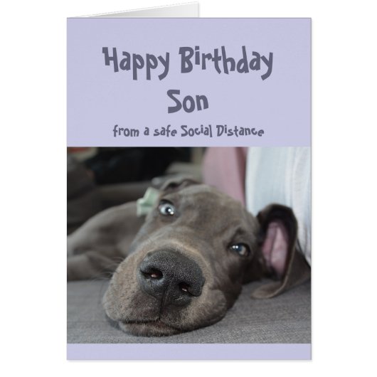 Zoon sociale vervorming Birthday Great Dane Dog (Voorkant)
