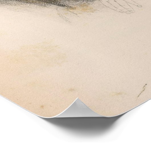 Zoon van de Sultan, Sooloo, Filipijnen Poster (Hoek)