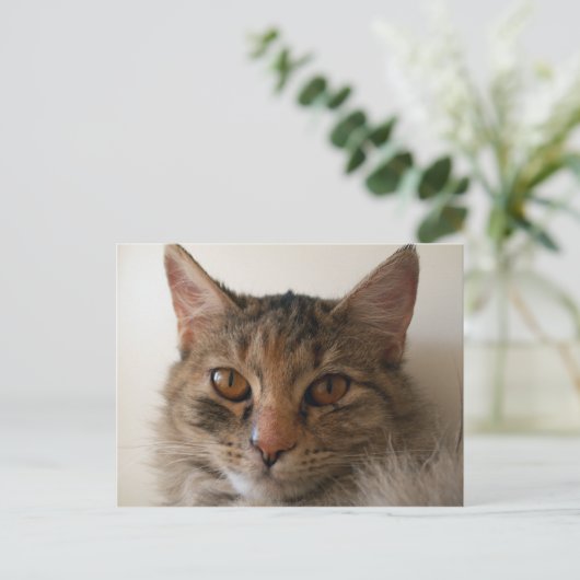 Zora Briefkaart (Staand voorkant)