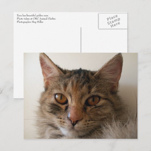 Zora Briefkaart (Voorkant / Achterkant)