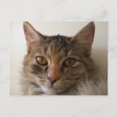 Zora Briefkaart (Voorkant)