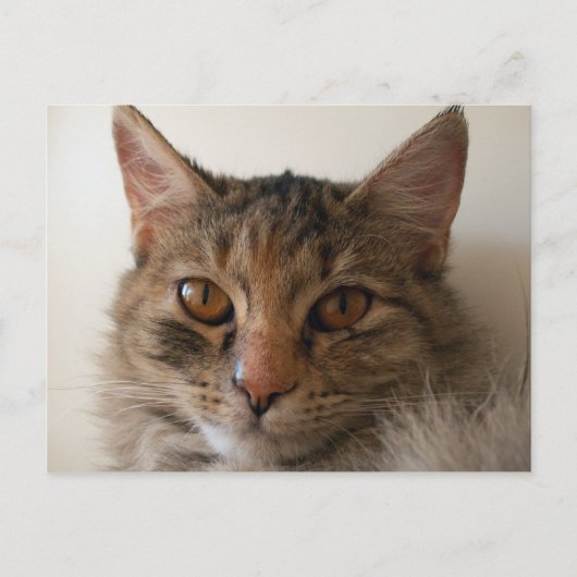 Zora Briefkaart (Voorkant)