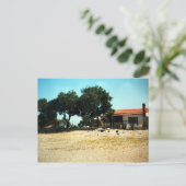 Zorba de Griekse hauseFoto Colette Guggenheim Briefkaart (Staand voorkant)