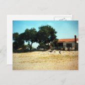 Zorba de Griekse hauseFoto Colette Guggenheim Briefkaart (Voorkant / Achterkant)