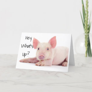 ZORG NIET DAT PIG "60" NIET ZO BAD IS!!! KAART