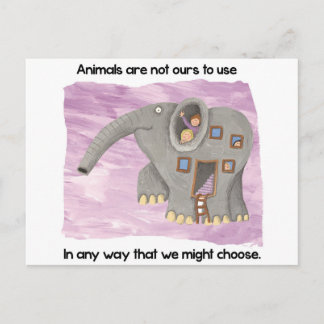 Zorg voor dieren! briefkaart