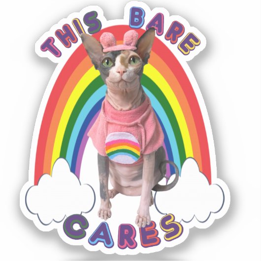 Zorgbakpride Sphynx Cat Rainbow Sticker (Voorkant)
