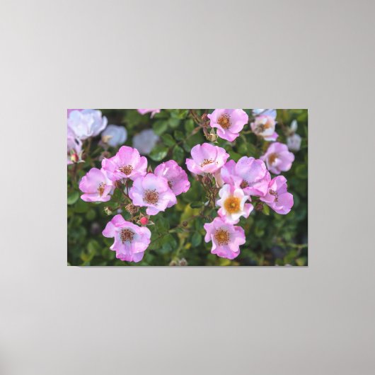 zorgeloos genot canvas afdruk (Voorkant)