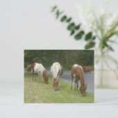 zorgeloze pony's briefkaart (Staand voorkant)