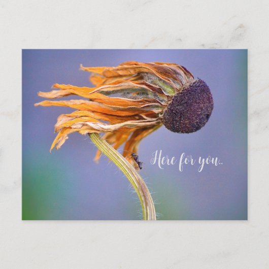 Zorggevoel hier voor u briefkaart (Voorkant)