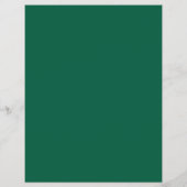 Zorgkliniek Dokter Aangepast Logo QR Code Groen Flyer (Achterkant)