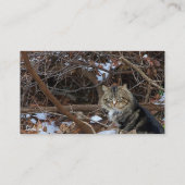 Zorgpas voor Verwilderde Katkolonie Visitekaartje (Achterkant)