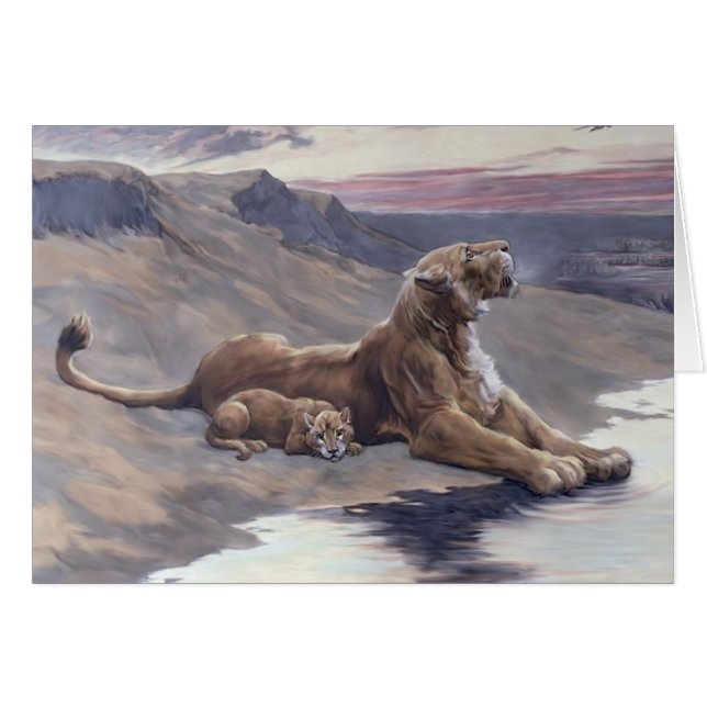 Zorgverlening tijdens het moederschap (Voorkant Horizontaal)