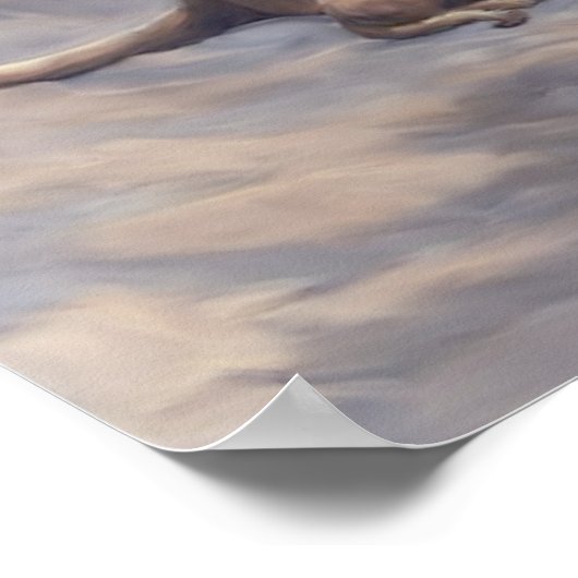 Zorgverlening tijdens het moederschap poster (Hoek)