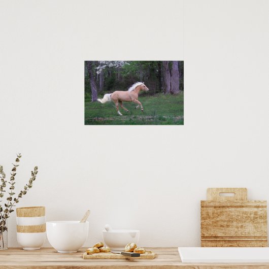 Zorgvrij Poster (Keuken)