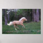 Zorgvrij Poster (Voorkant)