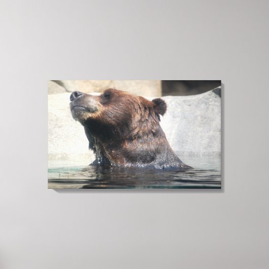 Zorgvuldig Beer in het water Canvas Afdruk (Voorkant)