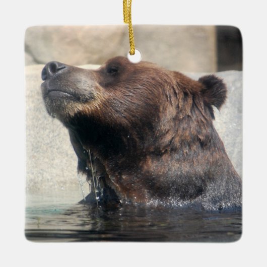 Zorgvuldig Beer in het water Keramisch Ornament (Voorkant)