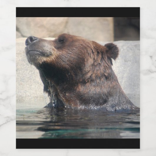 Zorgvuldig Beer in het water Wijn Etiket (Enkel label)