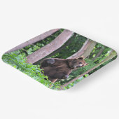 Zorgvuldig Beer, vaste Borden Papieren Bordje (Gebogen)