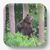 Zorgvuldig Beer, vaste Borden Papieren Bordje (Voorkant)