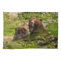 Zorgvuldige Beren spelen strijden