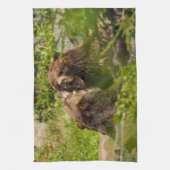 Zorgvuldige Beren spelen strijden Theedoek (Verticaal)