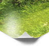 zorgvuldige overweging foto afdruk (Hoek)