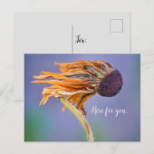 Zorgzaamheid en bezorgdheid hier voor jou briefkaart (Voorkant / Achterkant)