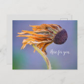 Zorgzaamheid en gevoel hier voor jou briefkaart (Voorkant / Achterkant)