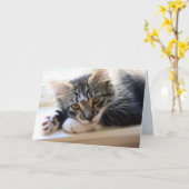 Zorro bij het raam Jubileum Kaart (Gele Bloem)