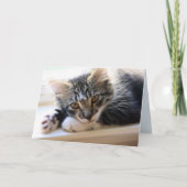 Zorro bij het raam Jubileum Kaart (Voorkant)