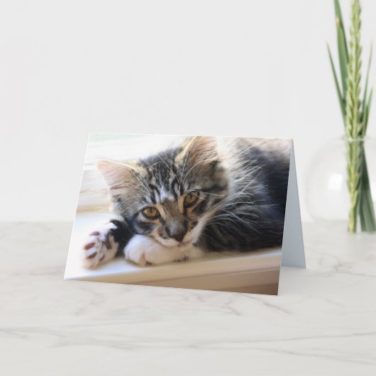 Zorro bij het raam Jubileum Kaart (Voorkant)