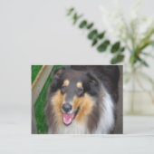 zorro briefkaart (Staand voorkant)