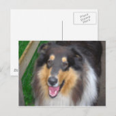 zorro briefkaart (Voorkant / Achterkant)