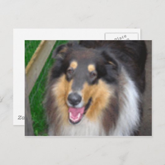 zorro briefkaart (Voorkant / Achterkant)